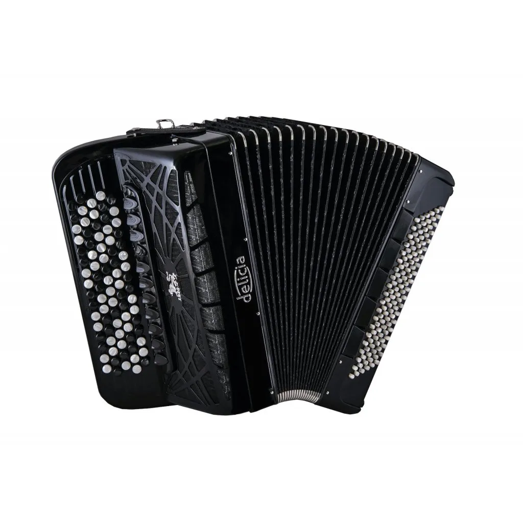 Schwarz Akkordeon Komplett